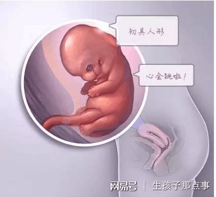 关于暖阳生殖